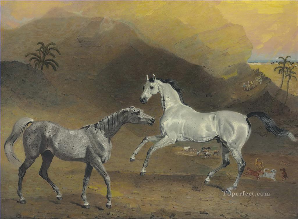 wild horses playing in mountain animals Oil Paintings